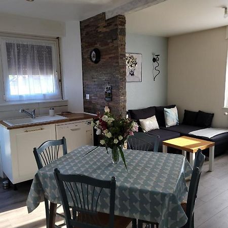 Appartement Au Cigogneau Wifi-Netflix-Balcon-Parking Munster (Haut-Rhin) Exterior foto