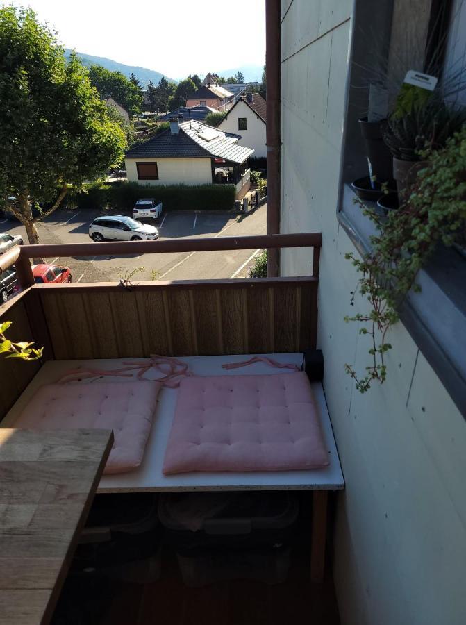 Appartement Au Cigogneau Wifi-Netflix-Balcon-Parking Munster (Haut-Rhin) Exterior foto