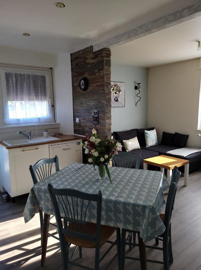 Appartement Au Cigogneau Wifi-Netflix-Balcon-Parking Munster (Haut-Rhin) Exterior foto