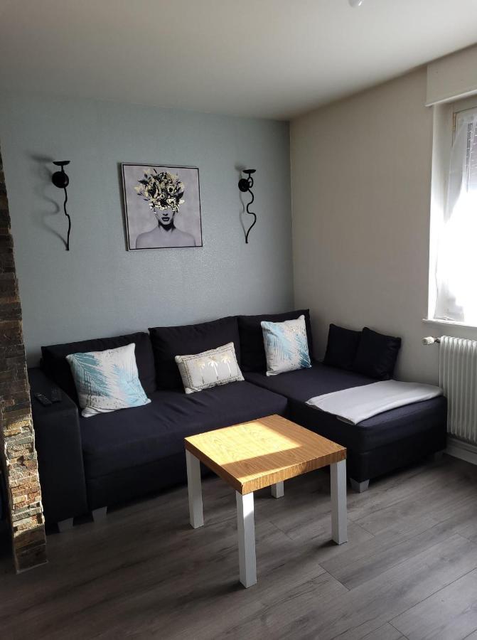Appartement Au Cigogneau Wifi-Netflix-Balcon-Parking Munster (Haut-Rhin) Exterior foto